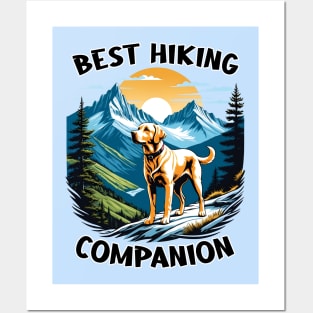 Best Hiking Companion - Labrador Dog Posters and Art